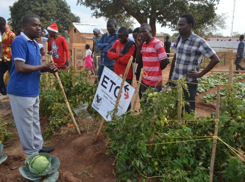 Youth in Agriculture