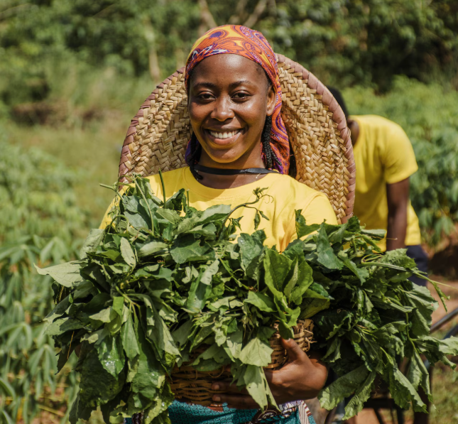 Consortia Mobile Pilot